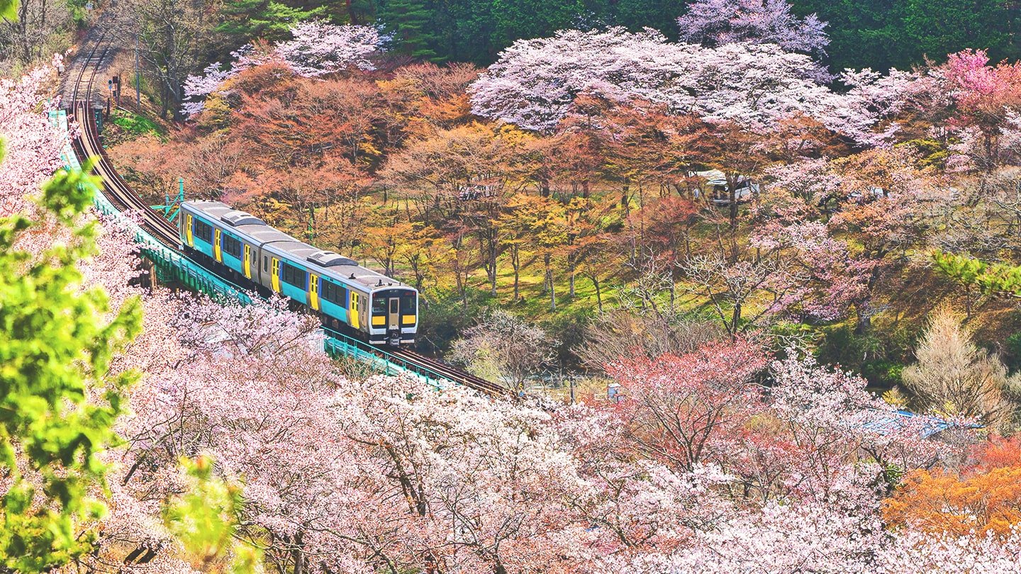 🏯 설촌암 (셋손안) 이미지 7